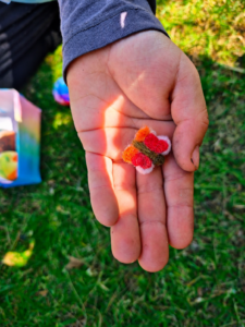 Mano de un niño sosteniendo una pequeña mariposa de lana artesanal en Tlaollin, escuela Waldorf Cholula