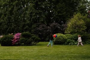 Educación a través del movimiento en la primera infancia